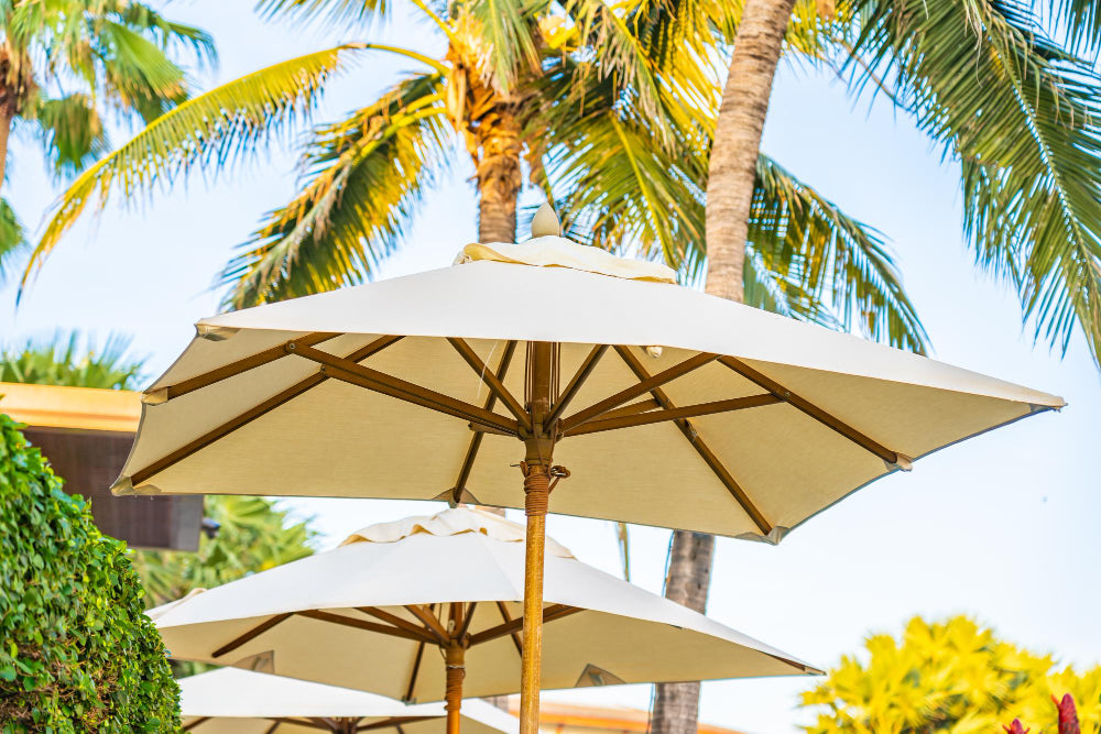 Premium Parasol